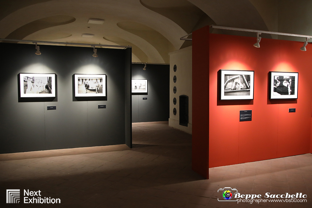 VBS_9536 - Mostra Elliott Erwitt - Family.jpg